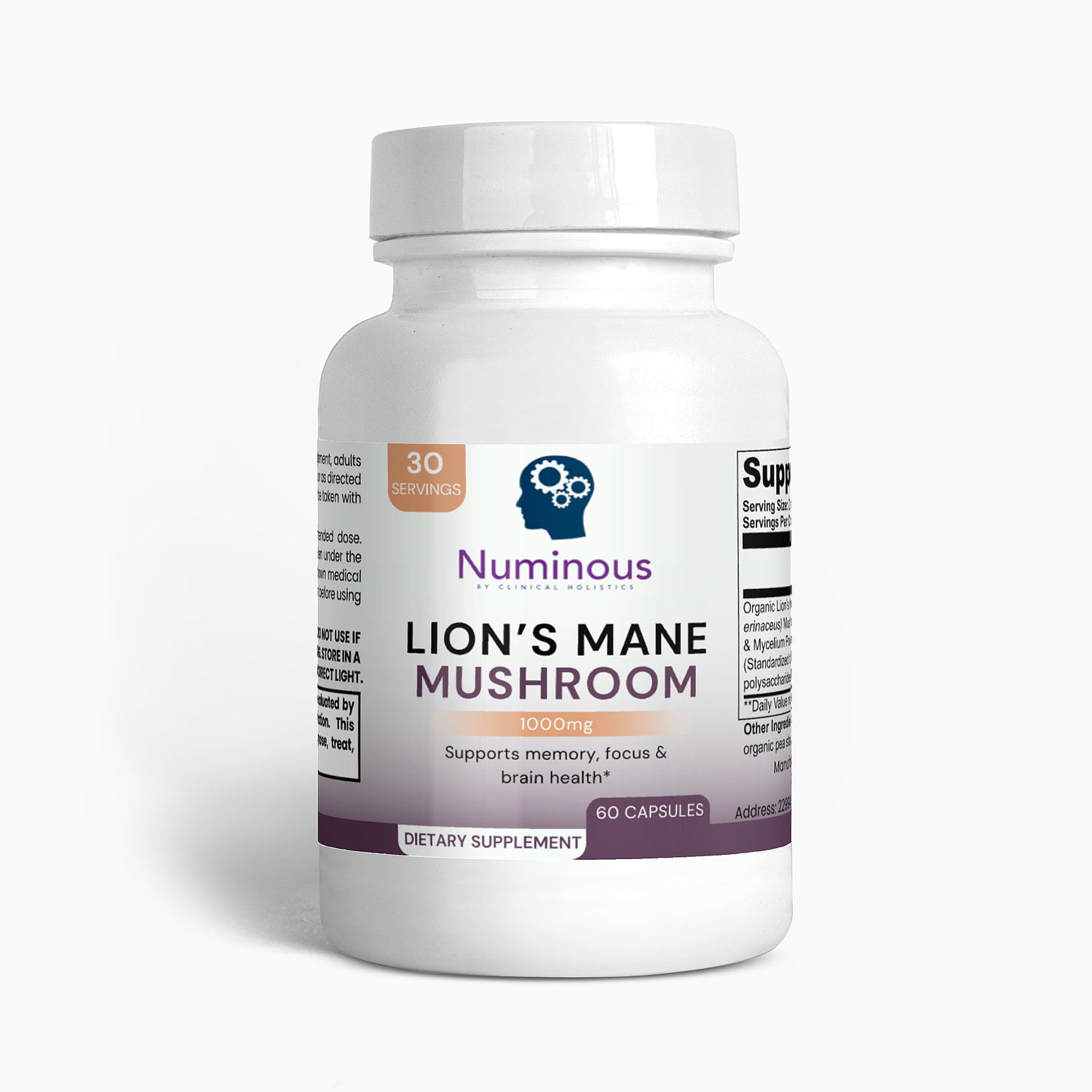 Lion's Mane Mushroom