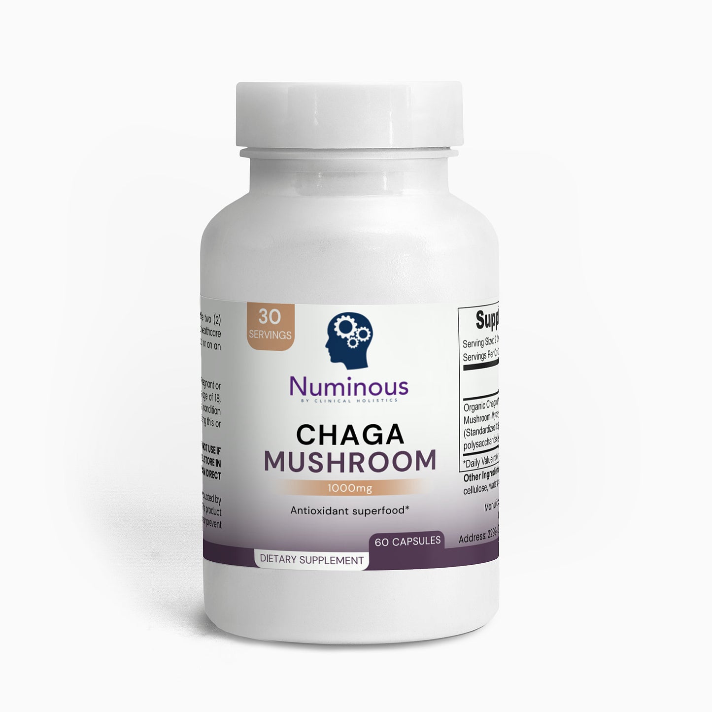 Chaga Mushroom