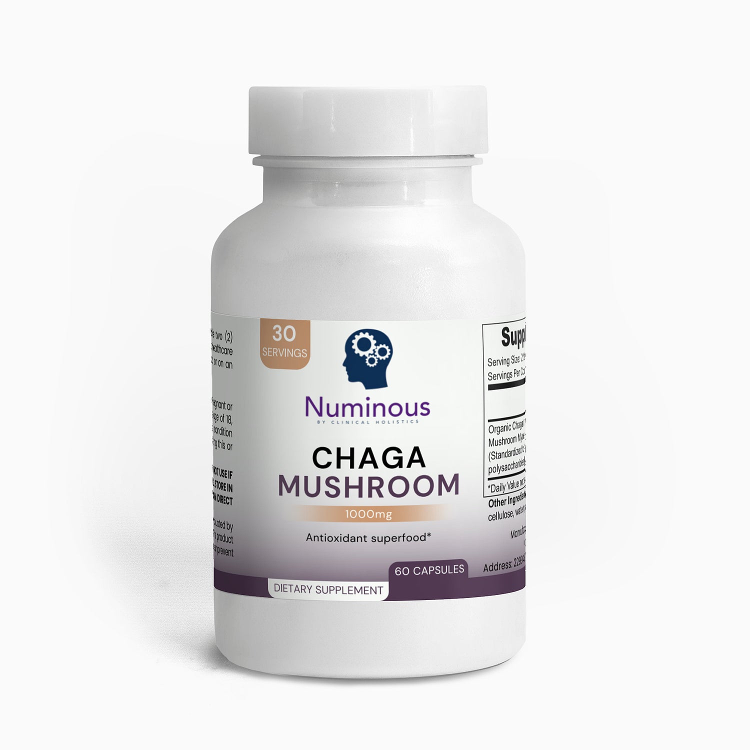 Chaga Mushroom