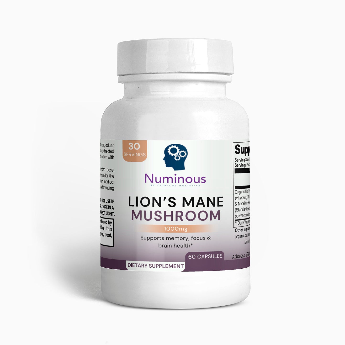 Lion's Mane Mushroom