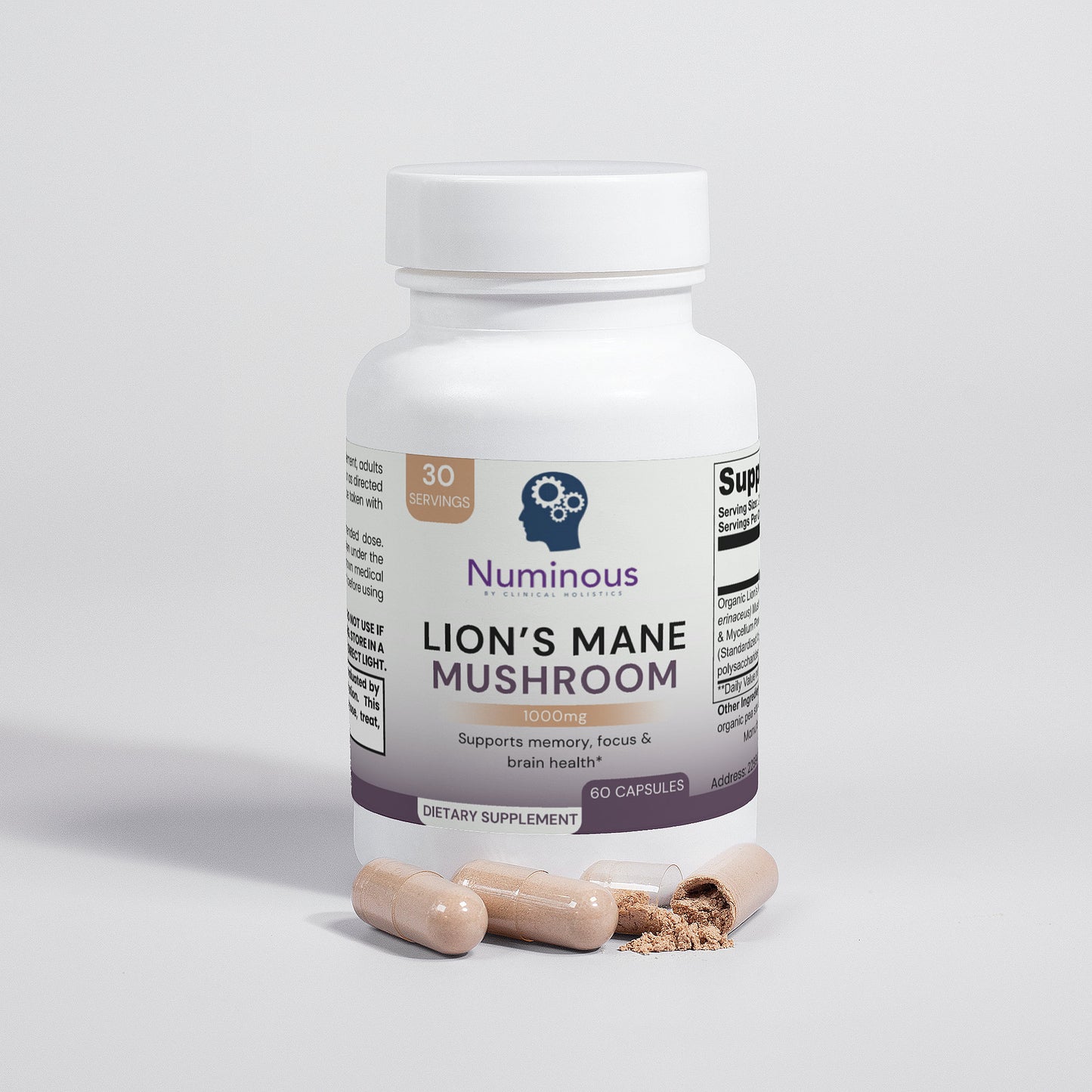 Lion's Mane Mushroom