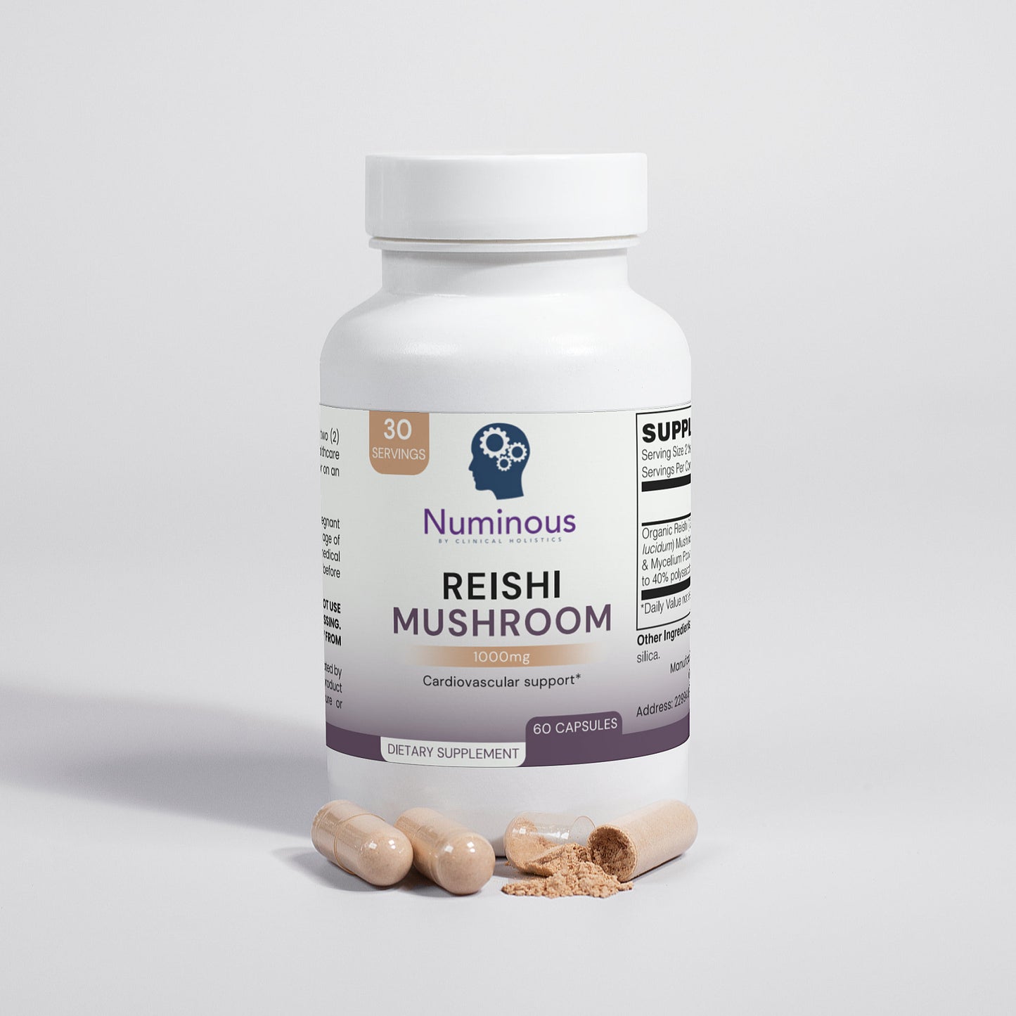 Reishi Mushroom